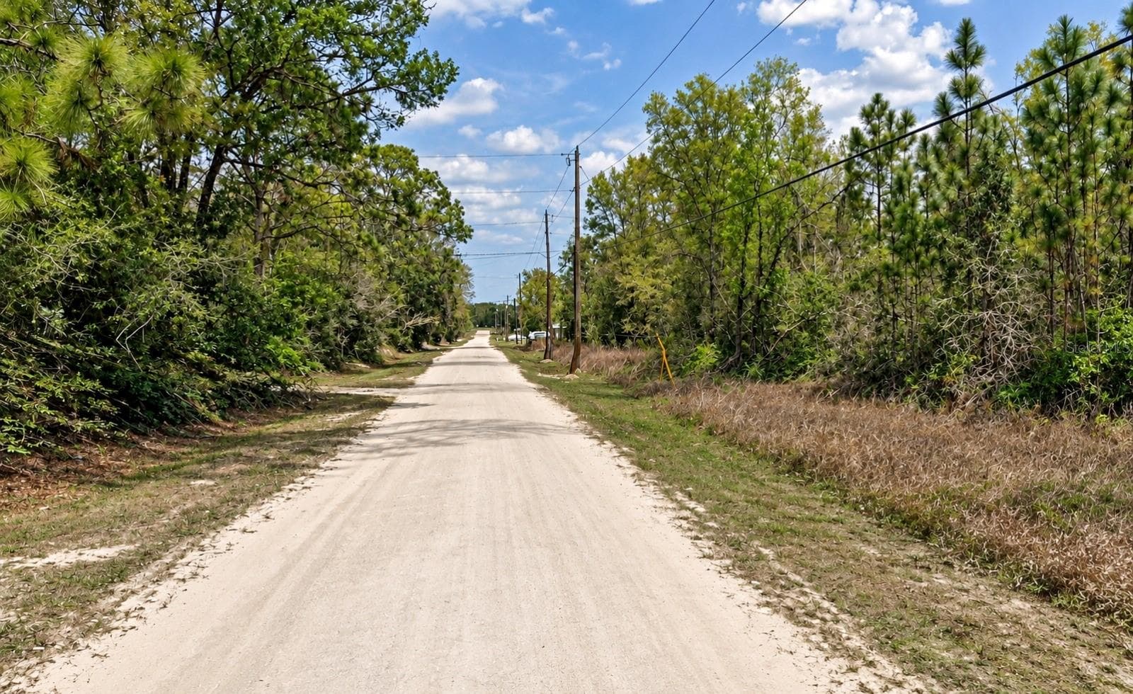 Land at SW 146CT, OCALA, photo 2 of 3