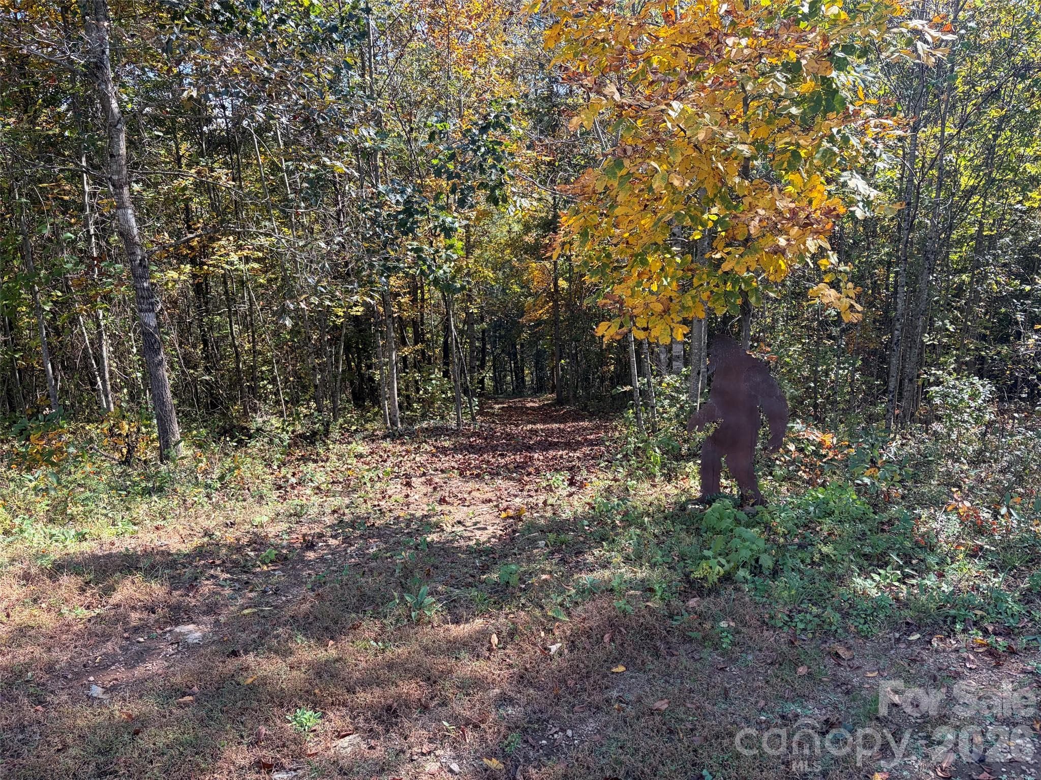 Trail to creek - 242 Falling Creek Drive, Nebo