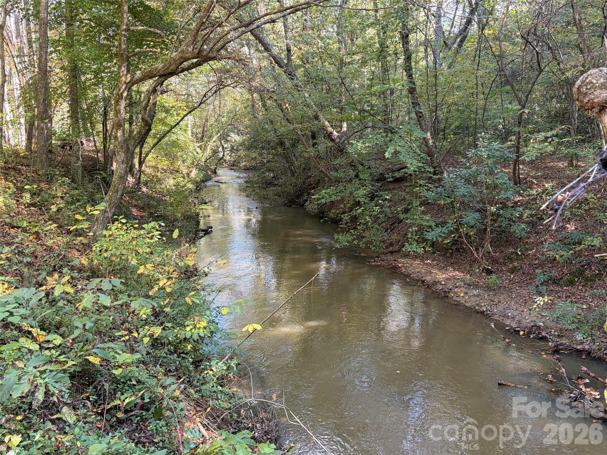 Muddy Creek runs thru the property. - 242 Falling Creek Drive, Nebo