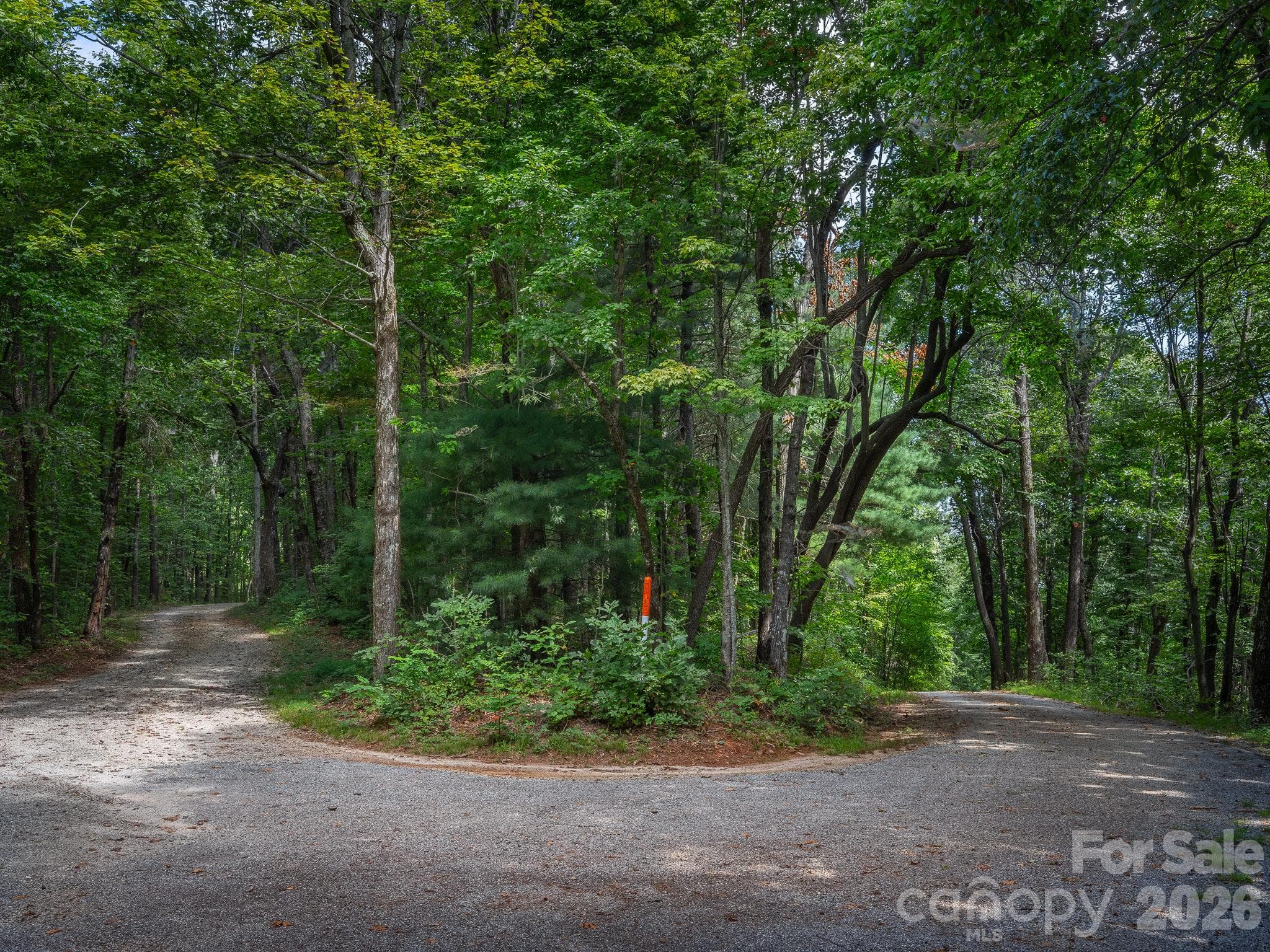 River Ridges Road and West Chestnut Ridges Road - Lot 6 W Chestnut Ridges Road, Hendersonville