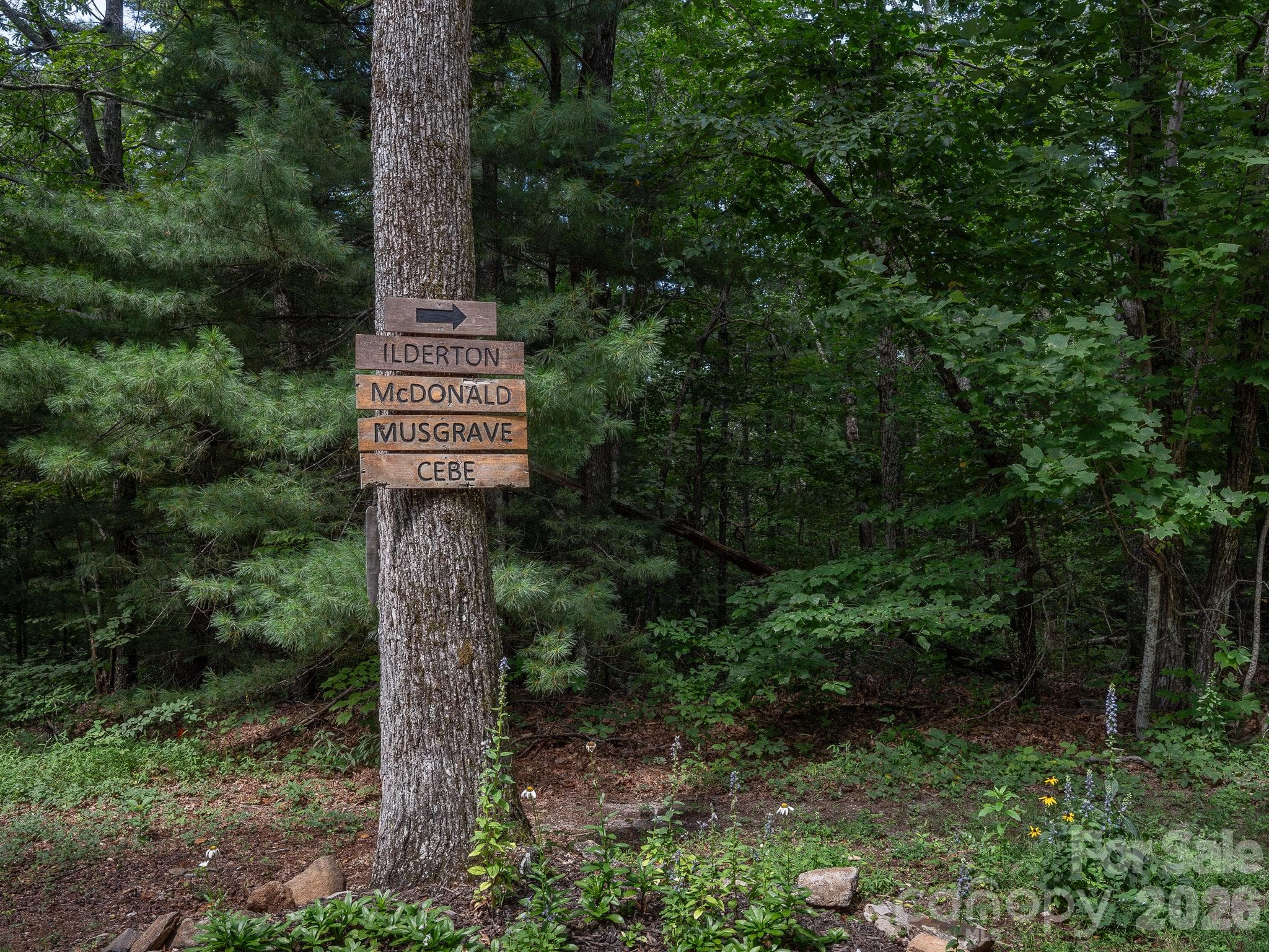West Chestnut Ridges Road - Lot 6 W Chestnut Ridges Road, Hendersonville