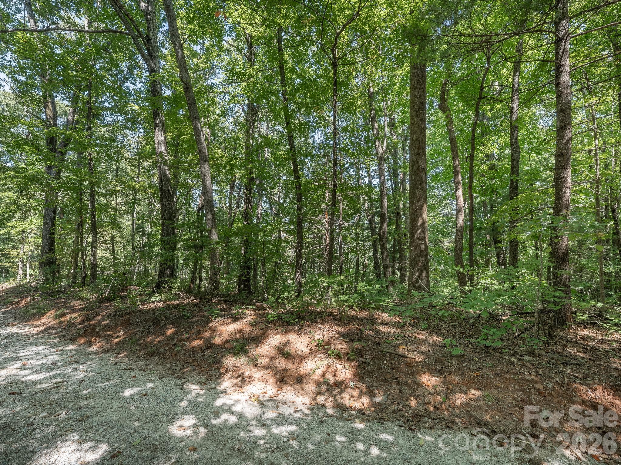 Lot West Chestnut Ridges Road - Lot 6 W Chestnut Ridges Road, Hendersonville