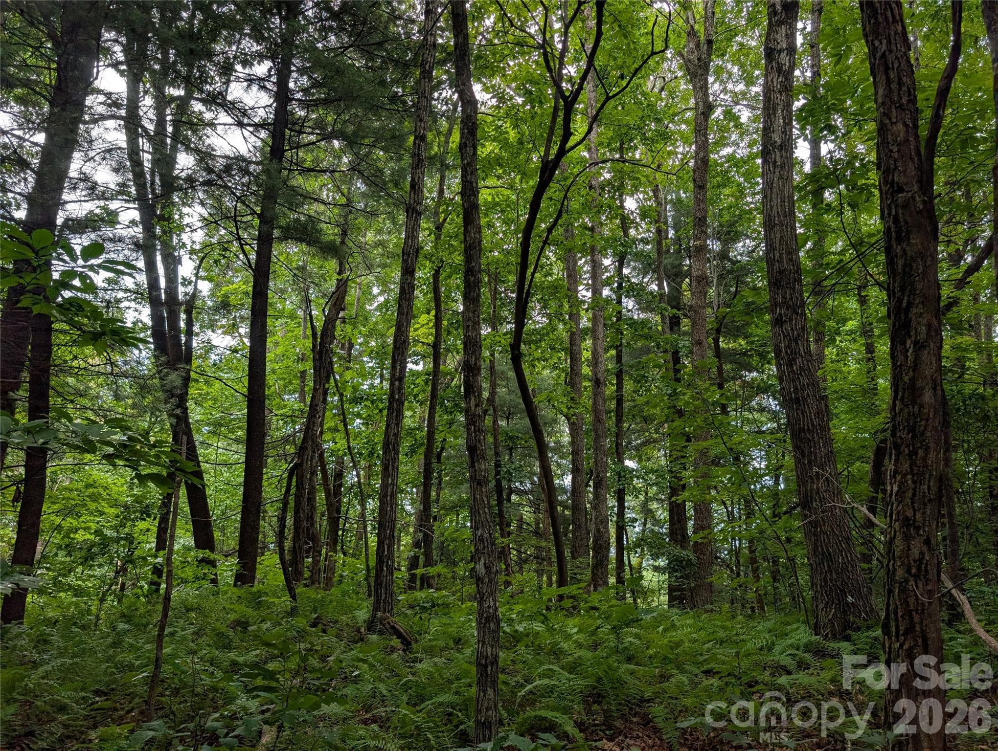Lot - Lot 6 W Chestnut Ridges Road, Hendersonville