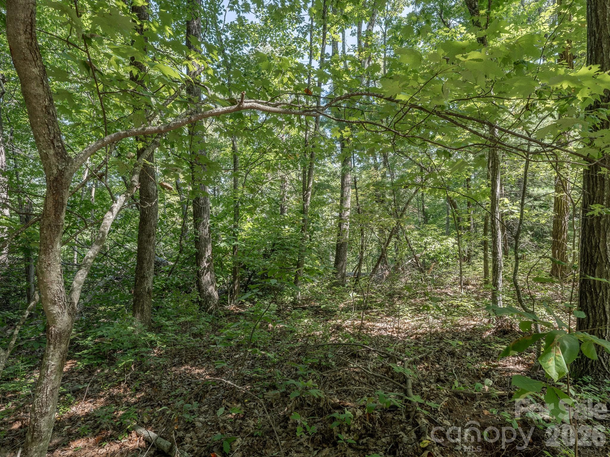 Lot - Lot 6 W Chestnut Ridges Road, Hendersonville