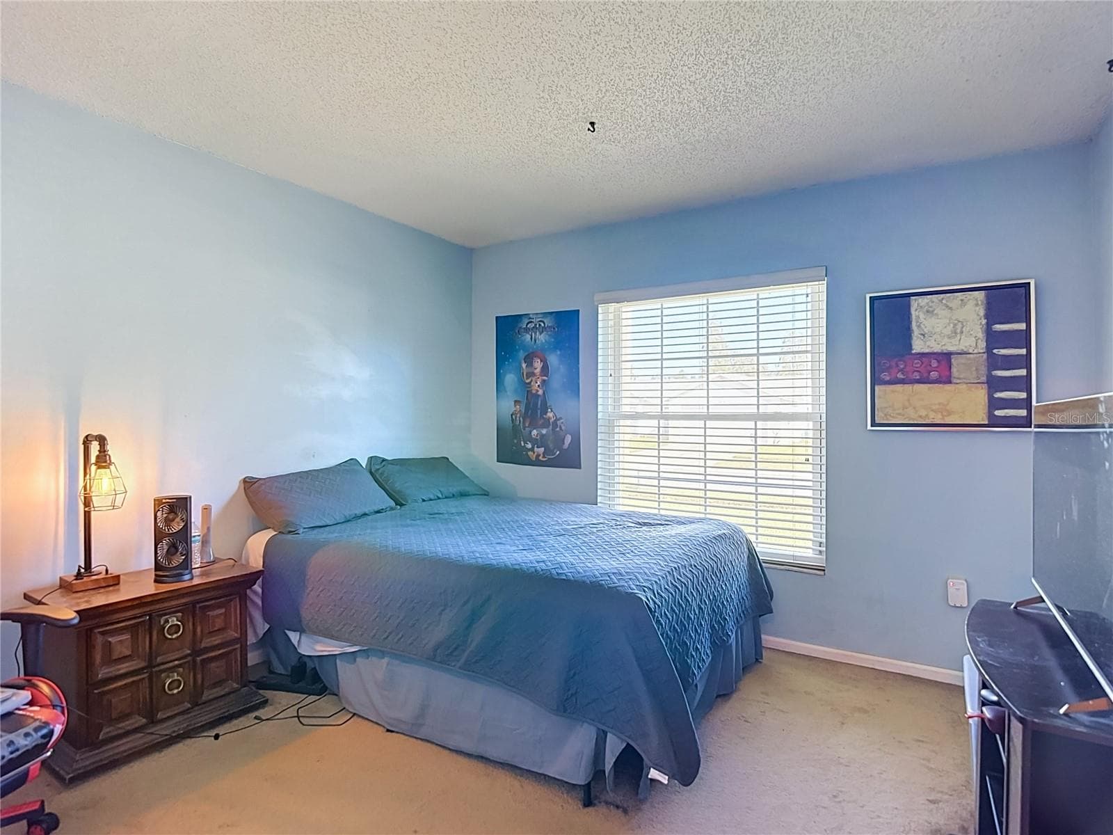 Single Family Residence at 620 STILLVIEW CIR, BRANDON, photo 17 of 28