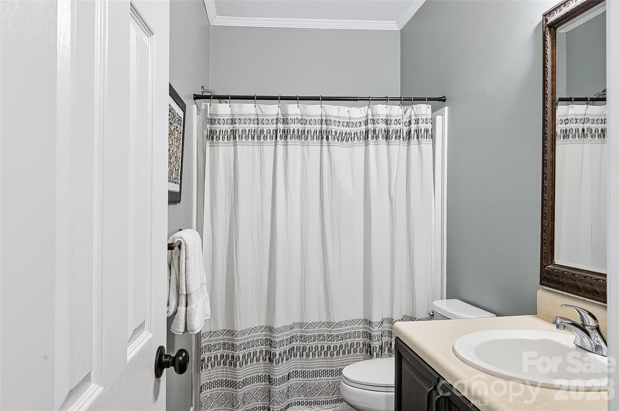 Guest bathroom downstairs - 2122 N Rugby Road, Hendersonville