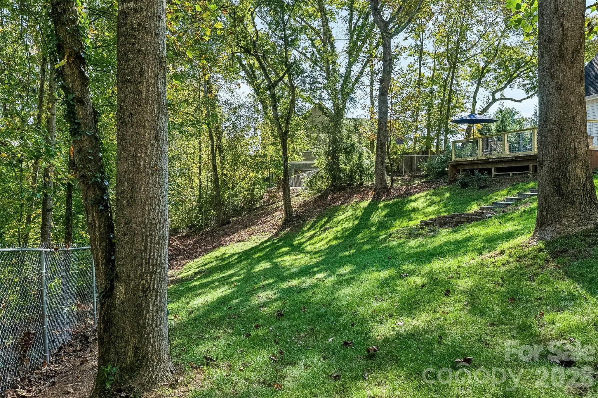 Backyard - 2122 N Rugby Road, Hendersonville