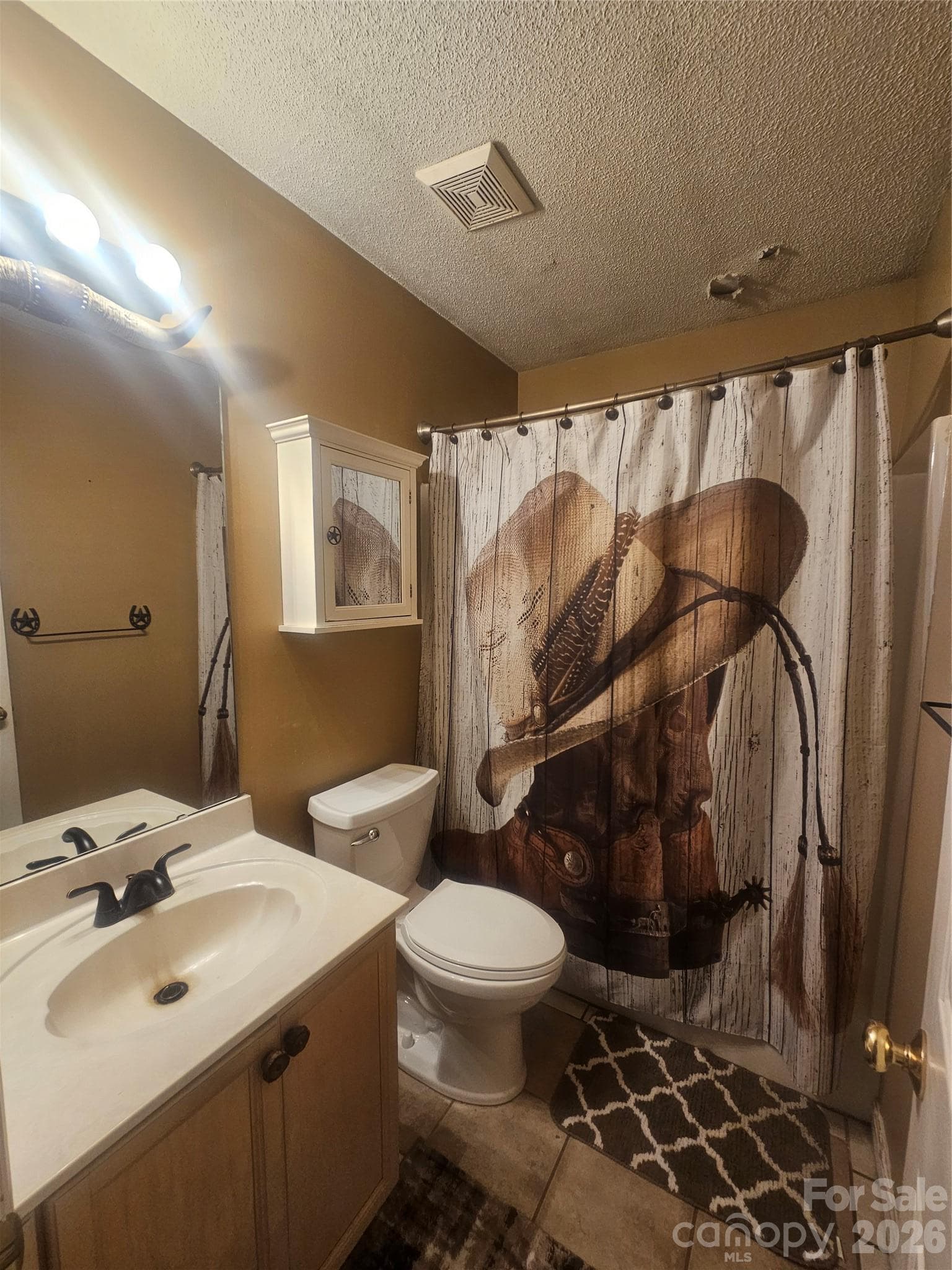 Guest Bathroom - 7313 Veranda Drive, Waxhaw