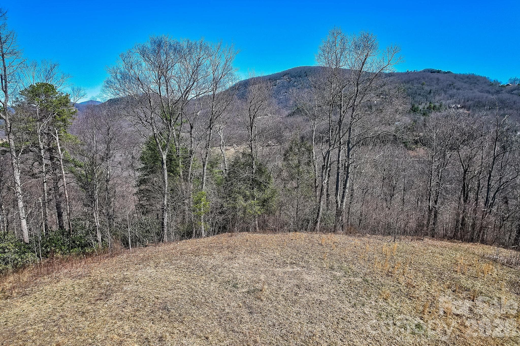 Acreage at 000 Little Creek Road, Hendersonville, photo 8 of 15