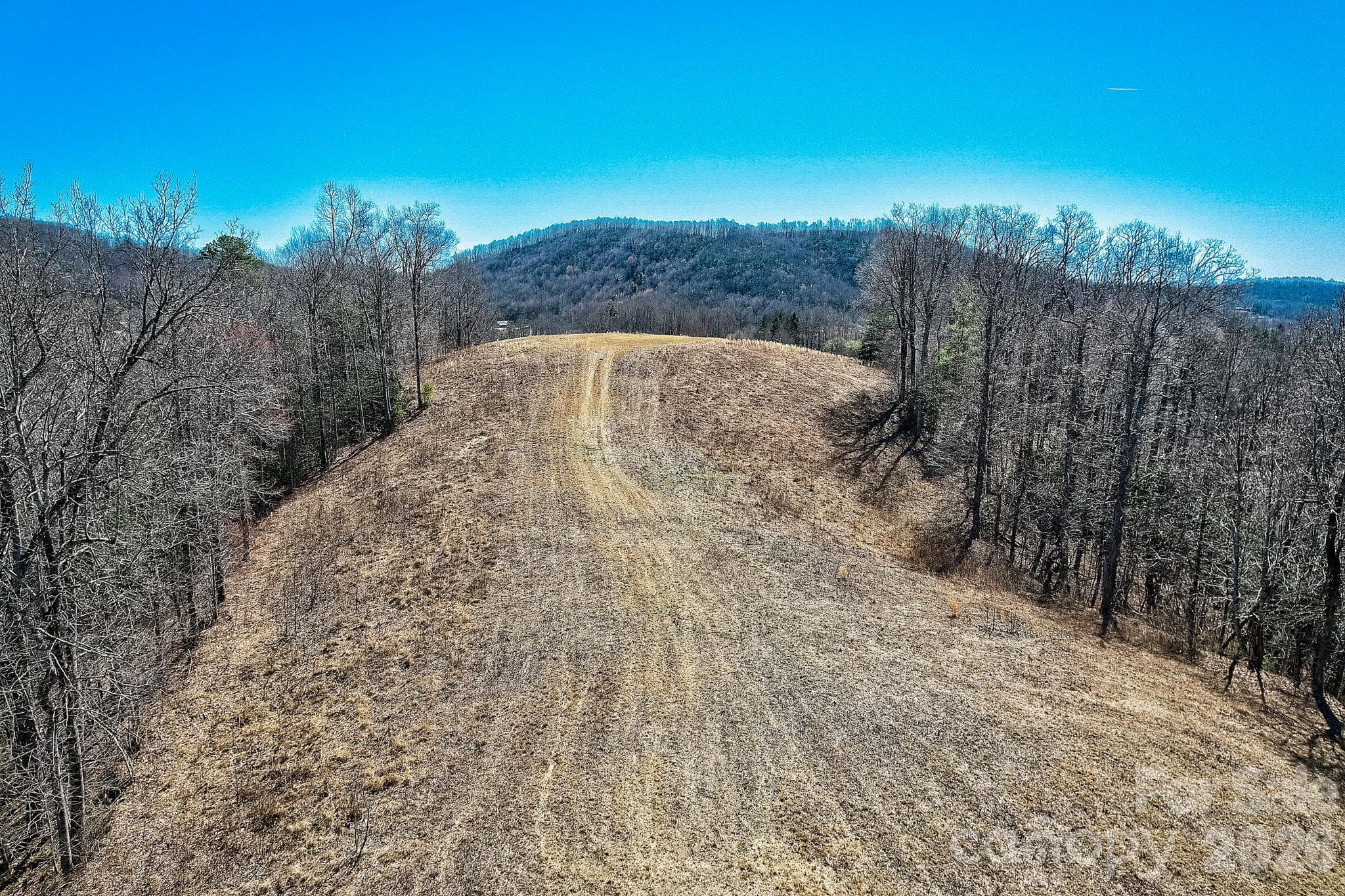 Acreage at 000 Little Creek Road, Hendersonville, photo 11 of 15