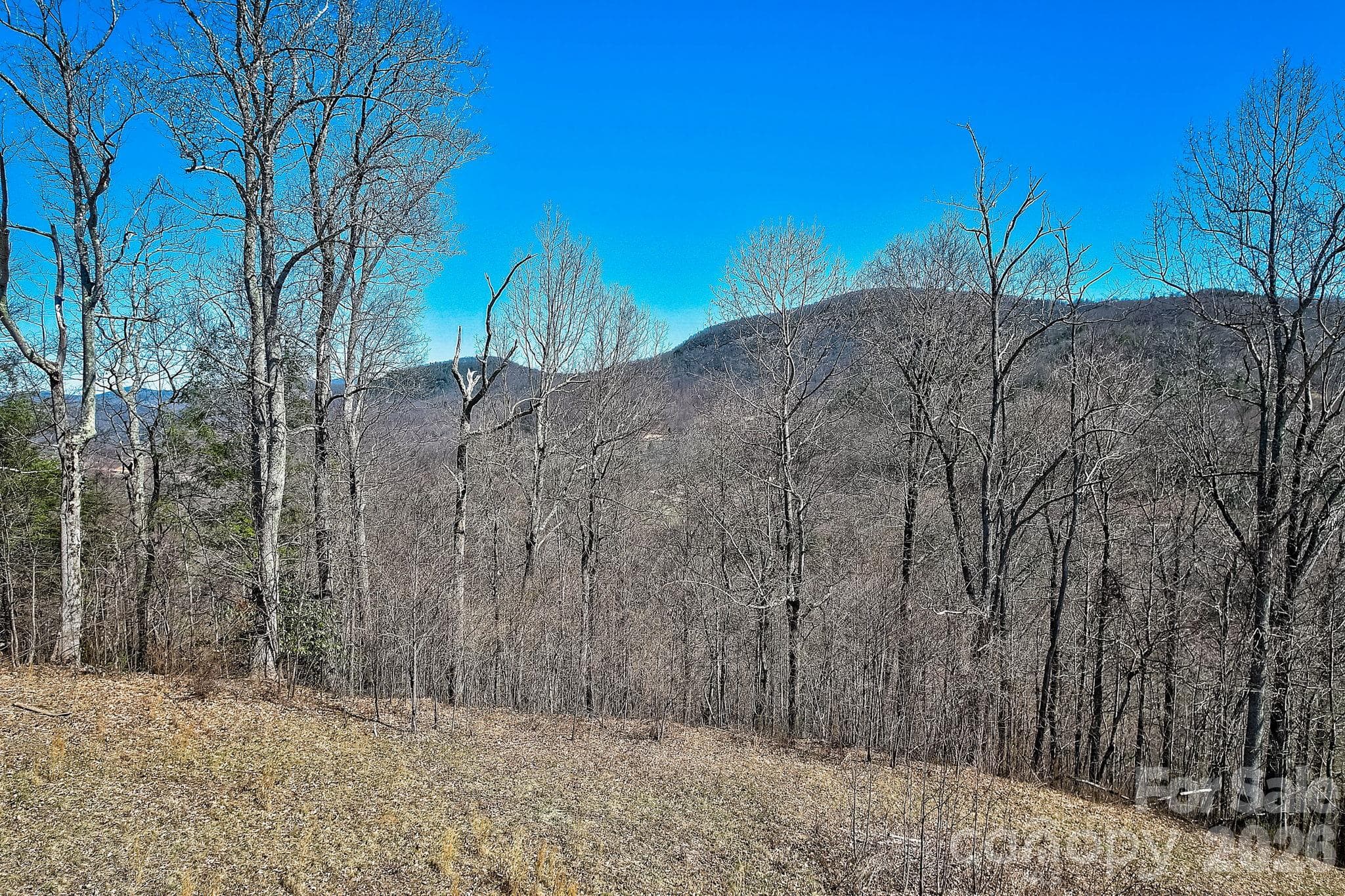 Acreage at 000 Little Creek Road, Hendersonville, photo 13 of 15
