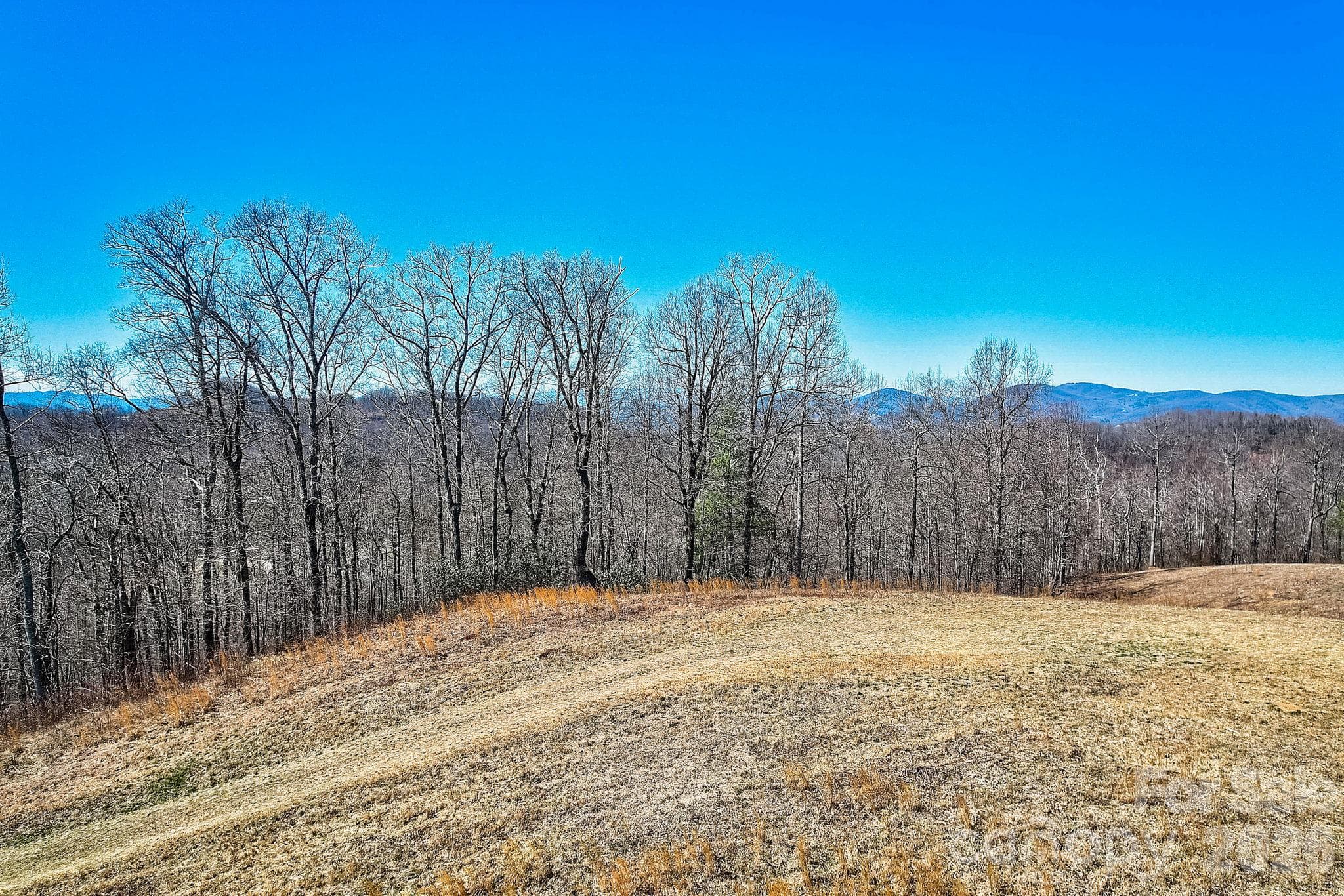 Acreage at 000 Little Creek Road, Hendersonville, photo 14 of 15