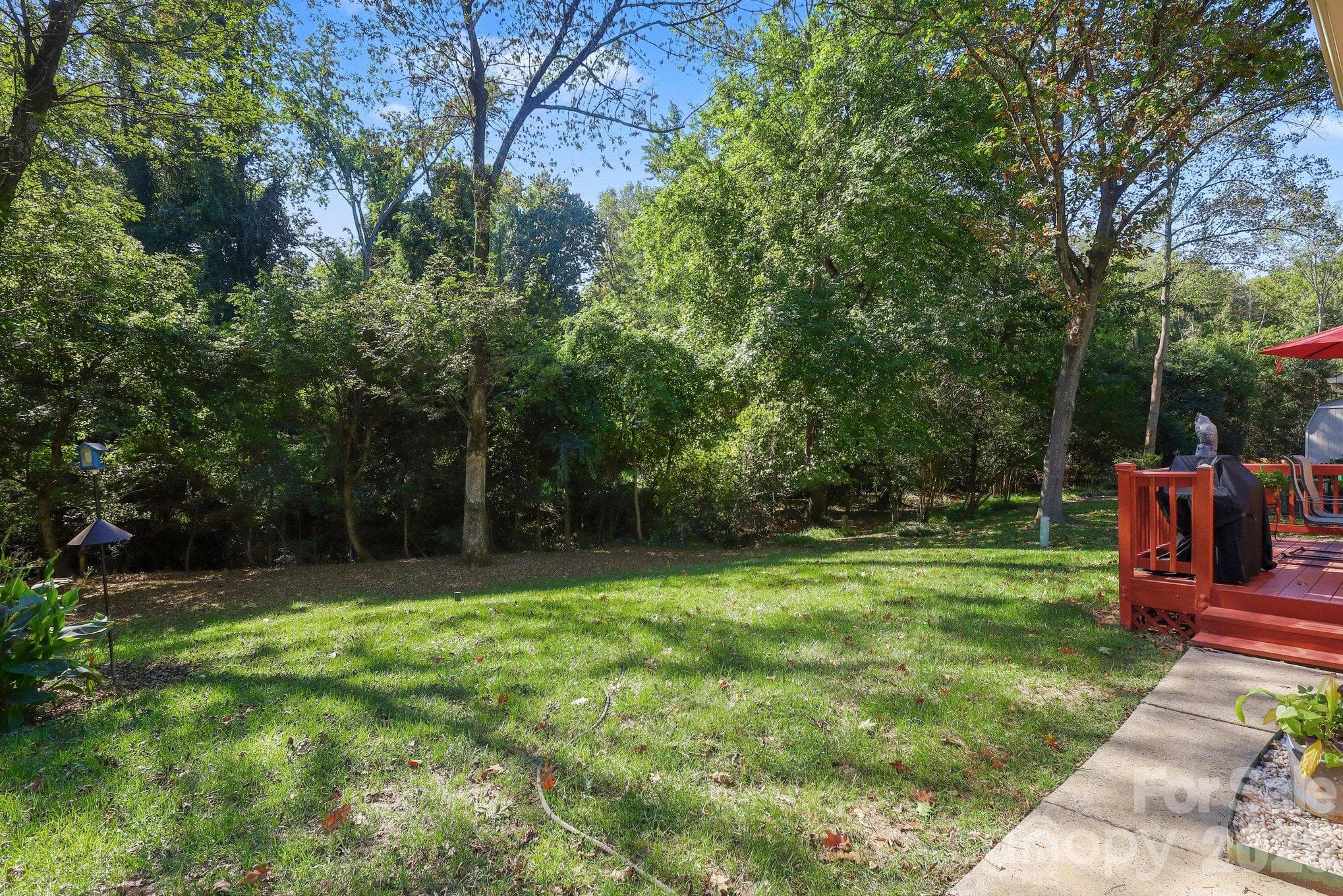 Nature is the backdrop. Mature greenery offers an escape from the city hustle just up the street. - 640 Heather Lane, Charlotte