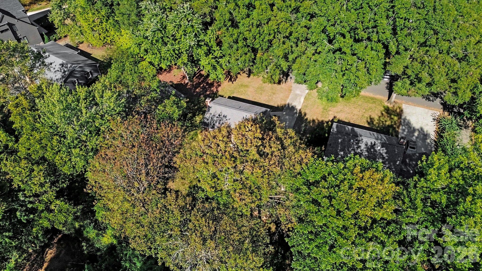 This neighborhood exeplifies the reason why Charlotte is called the City of Trees. - 640 Heather Lane, Charlotte