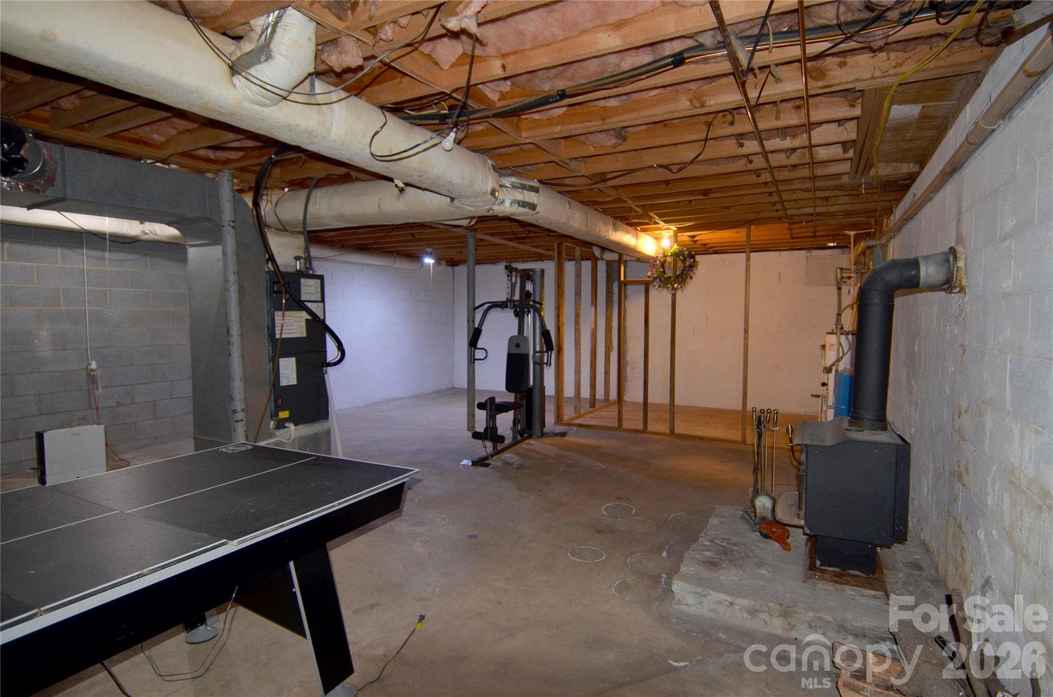 unfinished basement - 150 Eplee Loop, Marion