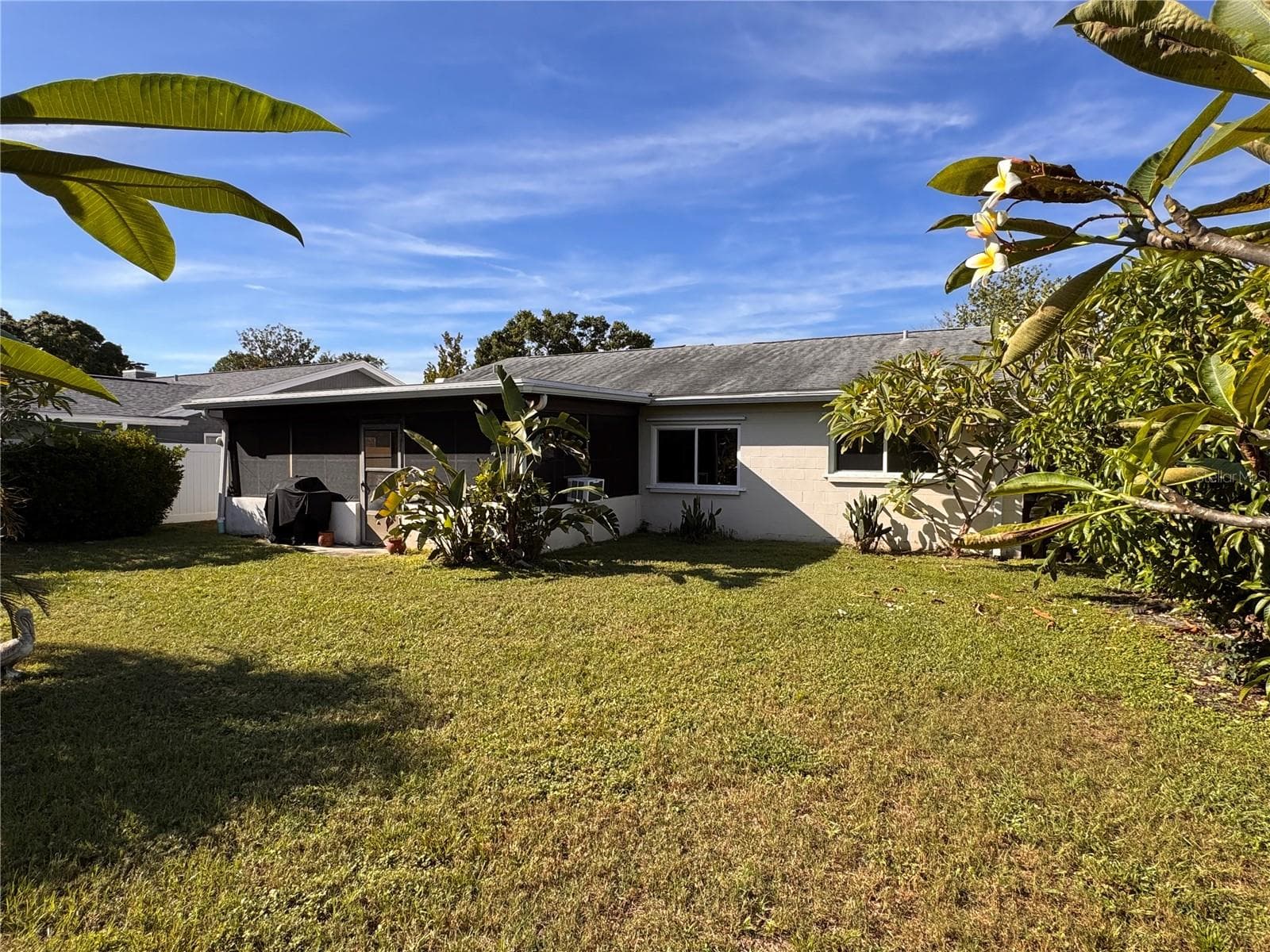 Backyard - 6252 105TH TER N, PINELLAS PARK