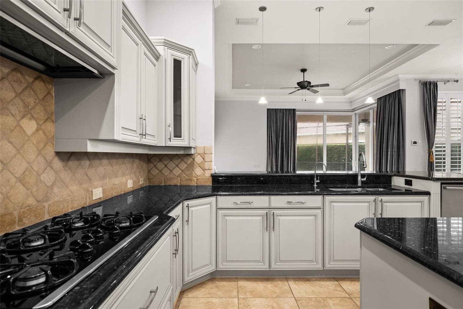 Kitchen - 20014 LOMOND LN, TAMPA