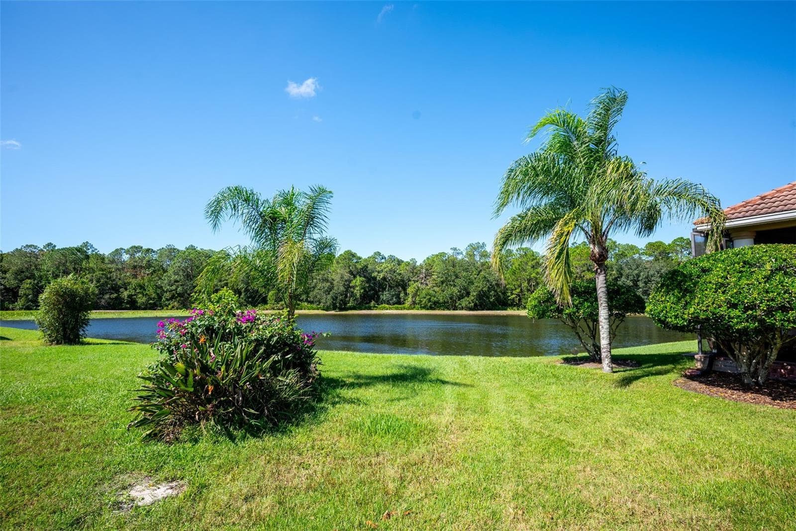 Backyard with pond view - 20014 LOMOND LN, TAMPA
