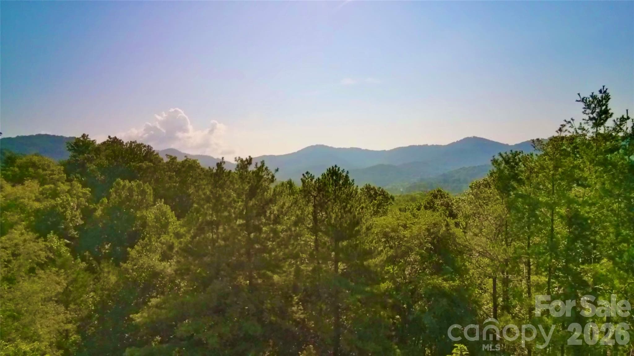 Lot at 99999 Elk Mountain Ridge, Asheville, photo 6 of 18
