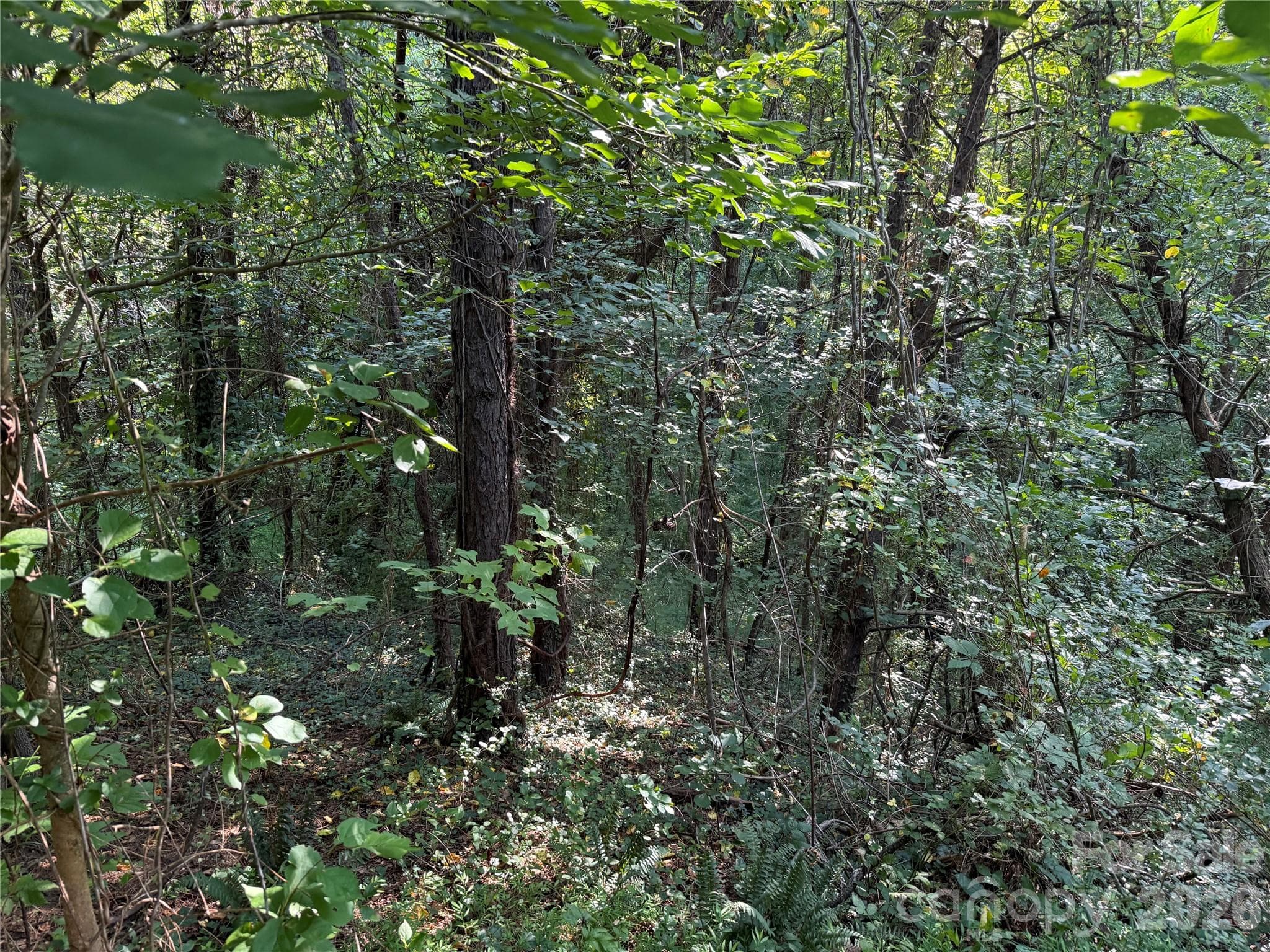 Lot at 99999 Elk Mountain Ridge, Asheville, photo 11 of 18