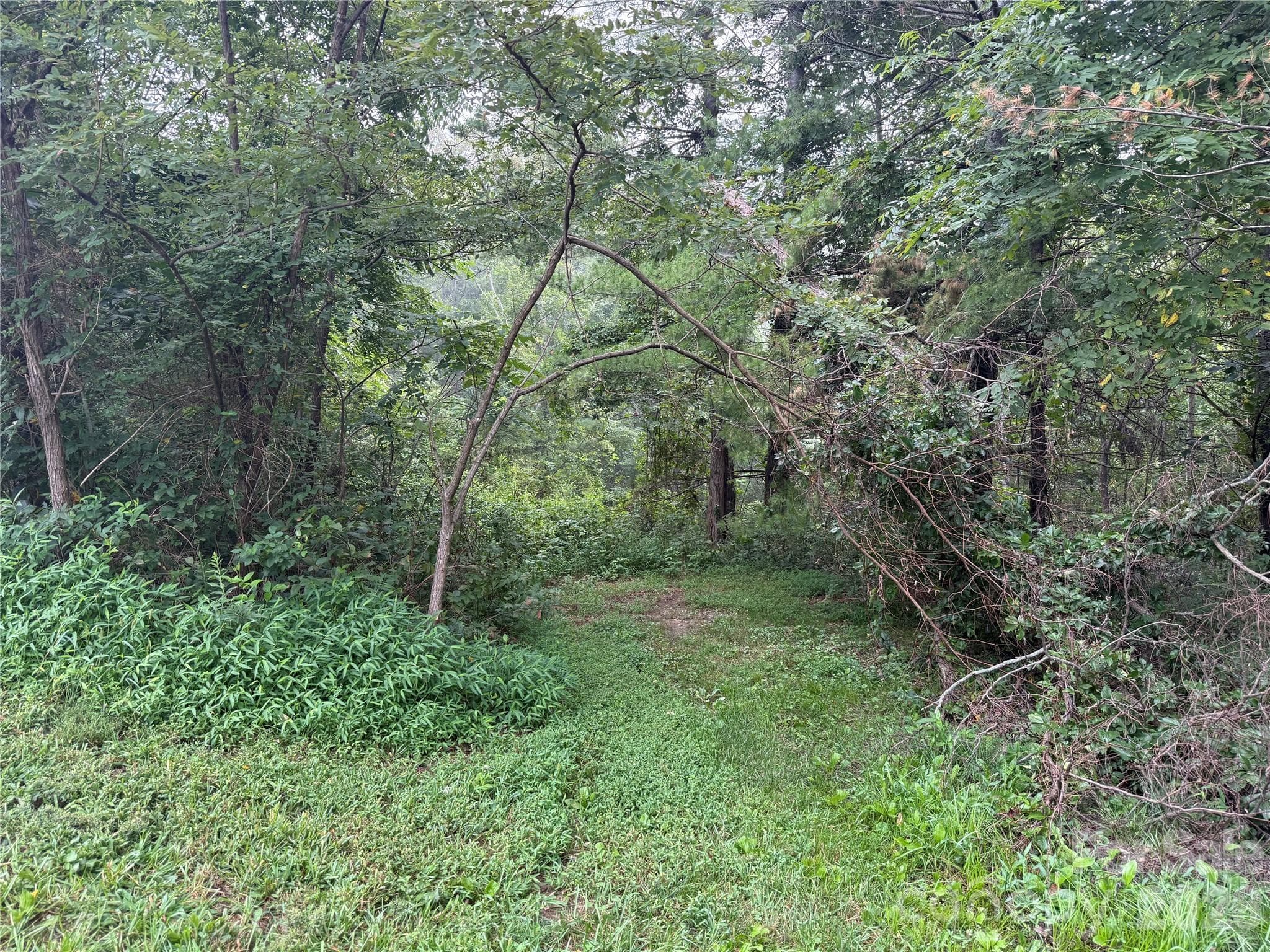 Lot at 99999 Elk Mountain Ridge, Asheville, photo 14 of 18