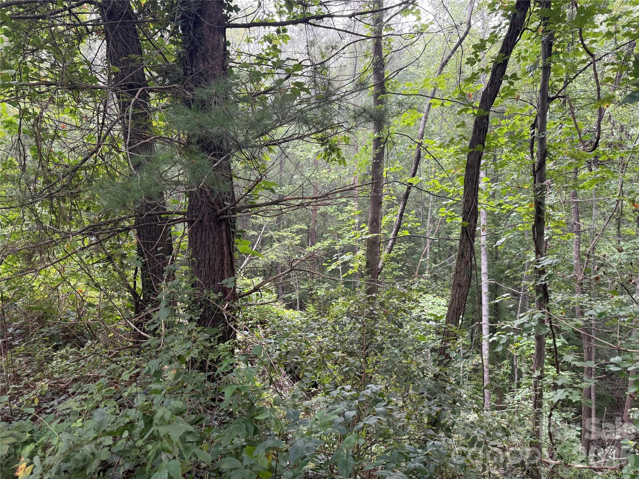 Lot at 99999 Elk Mountain Ridge, Asheville, photo 17 of 18