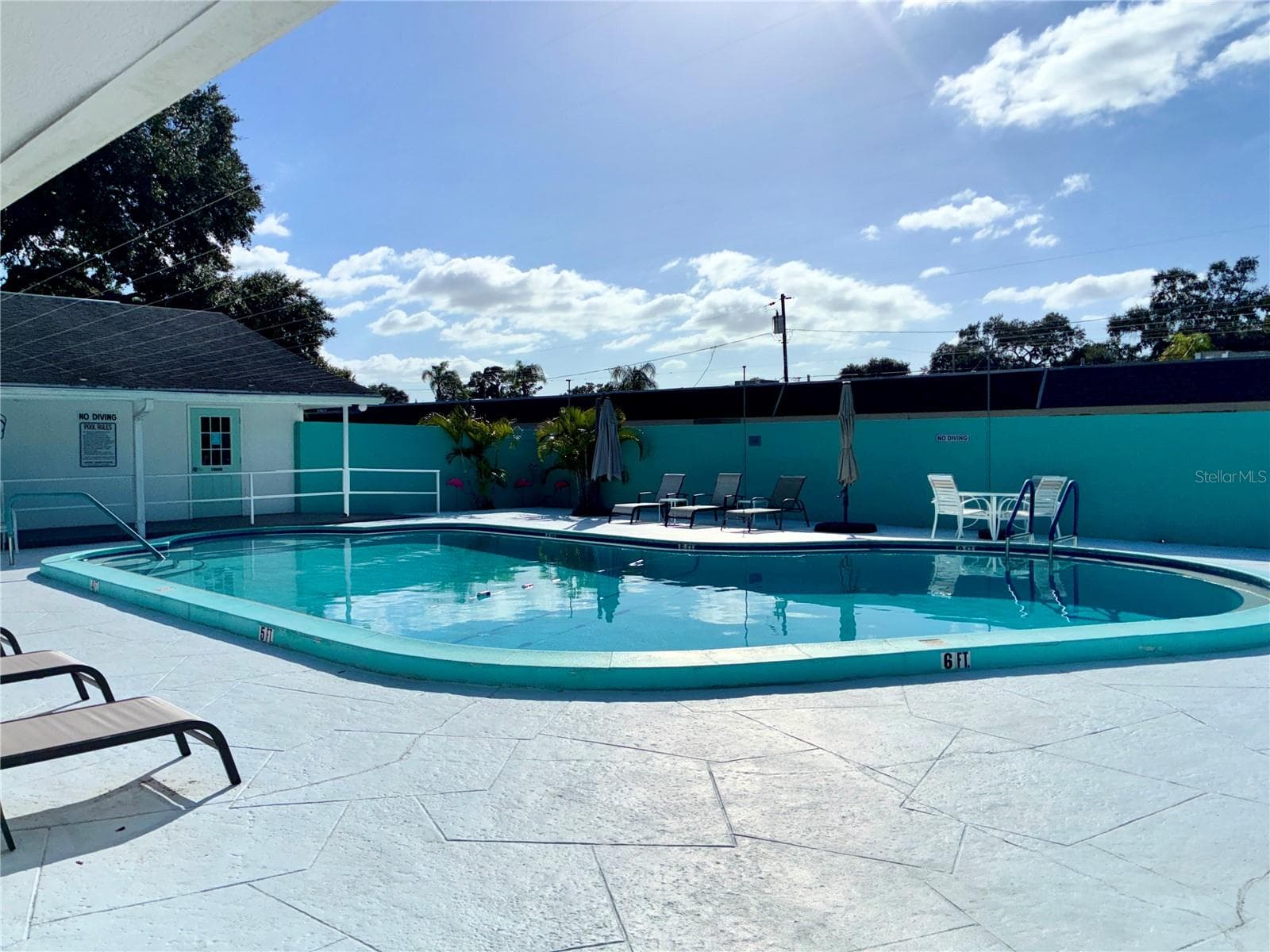Pool - 889 SKY LOCH DR S, DUNEDIN