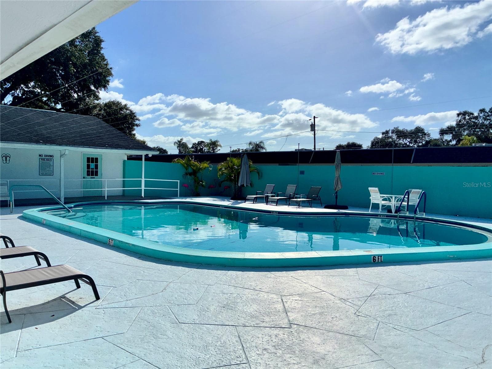 Pool - 889 SKY LOCH DR S, DUNEDIN