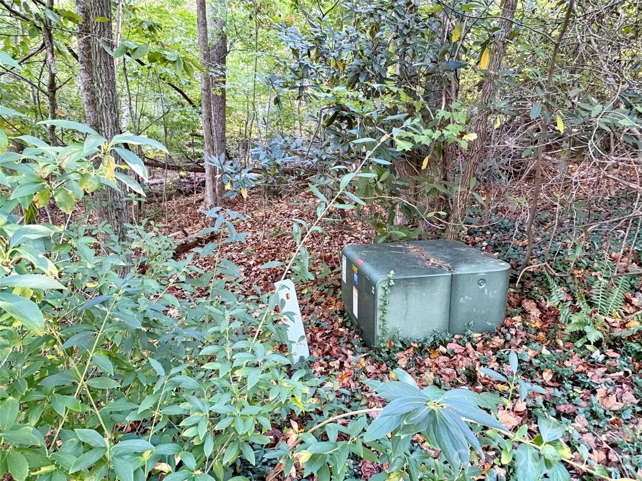Lot at 00 Forsythia Hedge Drive, Fletcher, photo 2 of 8