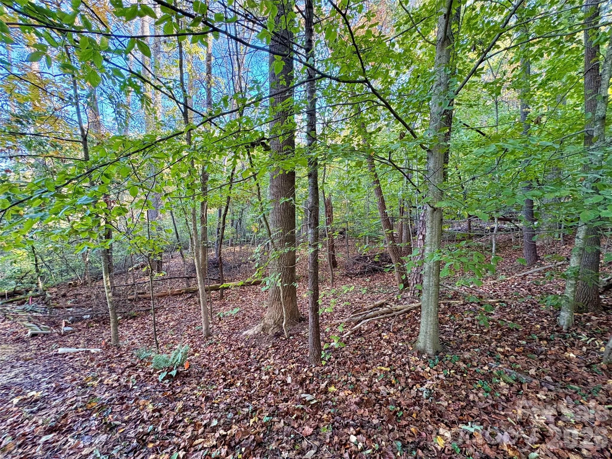 Lot at 00 Forsythia Hedge Drive, Fletcher, photo 3 of 8