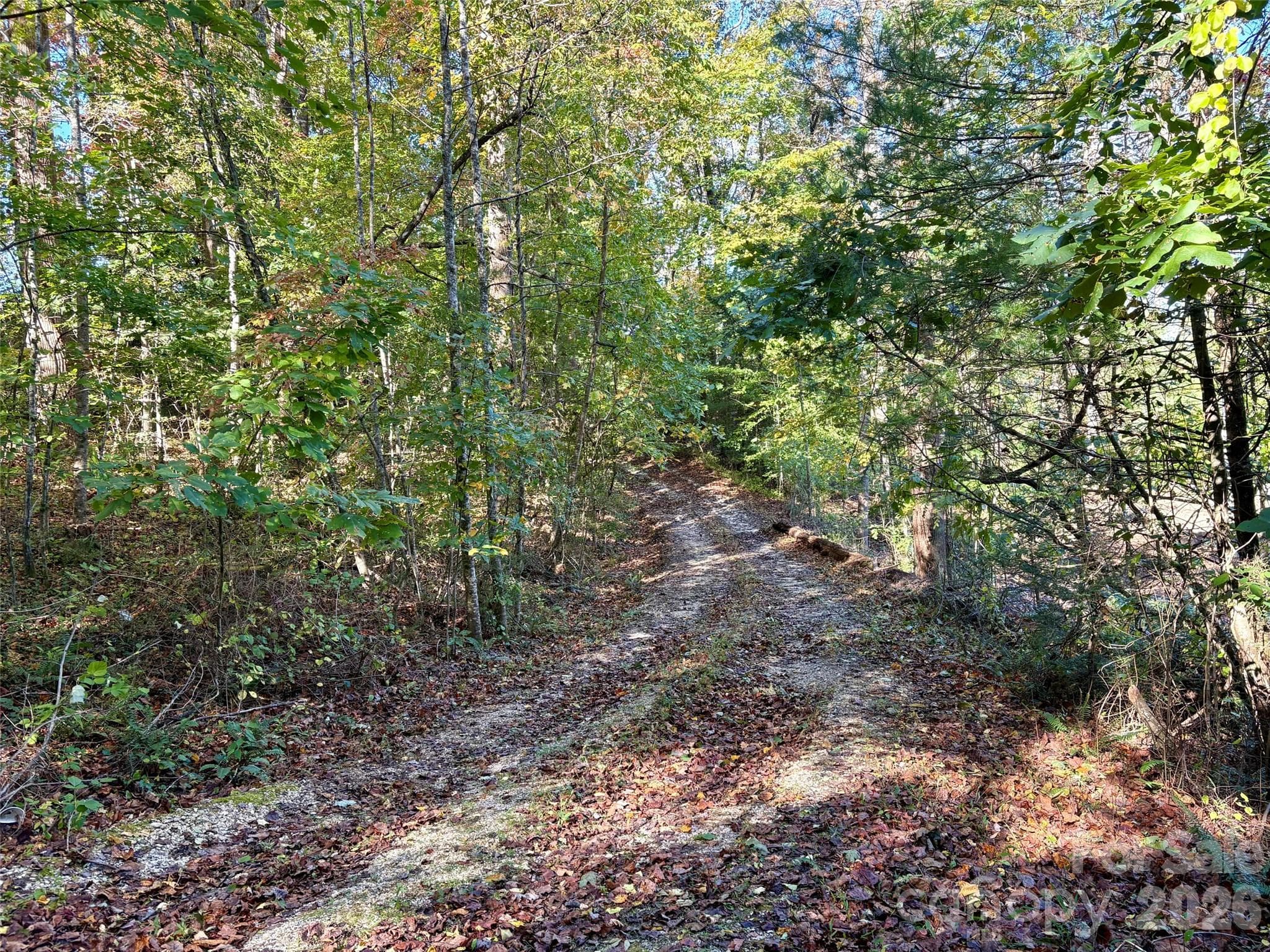 Lot at 00 Forsythia Hedge Drive, Fletcher, photo 7 of 8