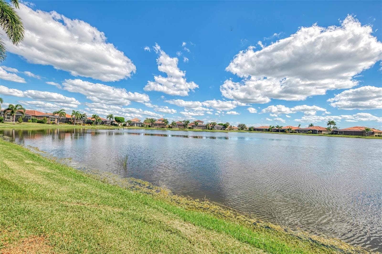 Lake - 23810 WAVERLY CIR, VENICE