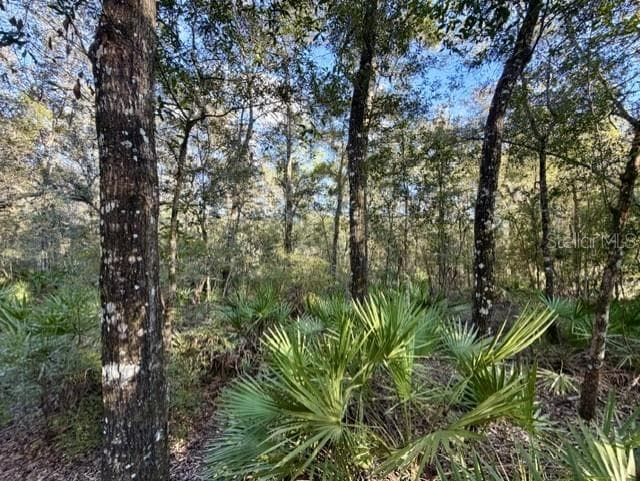 Land at 1030 NW 78TH AVE, BELL, photo 12 of 35