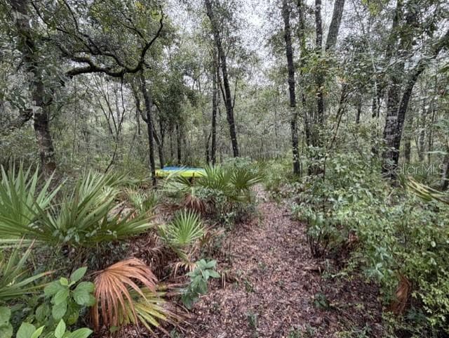 Land at 1030 NW 78TH AVE, BELL, photo 21 of 35