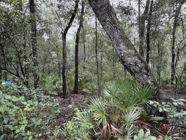 Land at 1030 NW 78TH AVE, BELL, photo 23 of 35