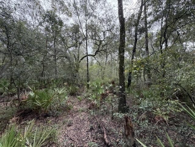 Land at 1030 NW 78TH AVE, BELL, photo 24 of 35