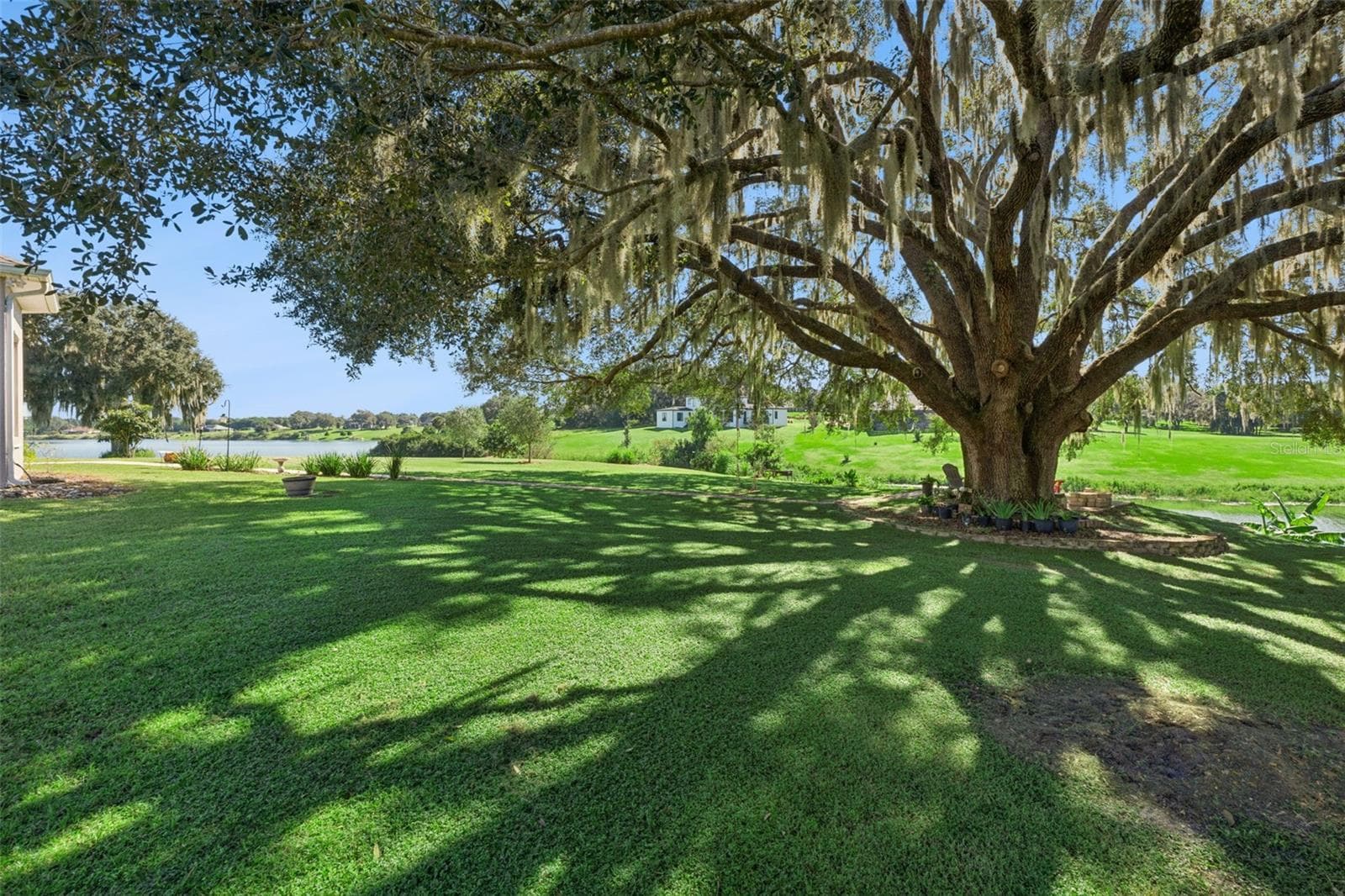 Extensive pavers were added along with a sitting area under this water side oak tree - 36819 WOLF CT, EUSTIS