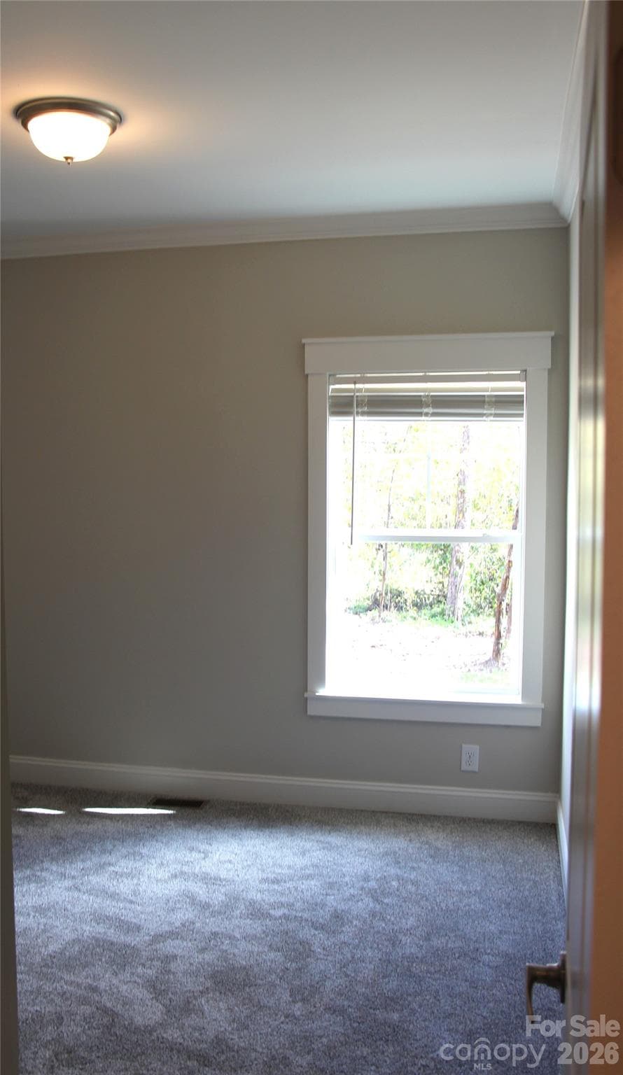 Single Family Residence at 5 Adell Drive, Fletcher, photo 33 of 37