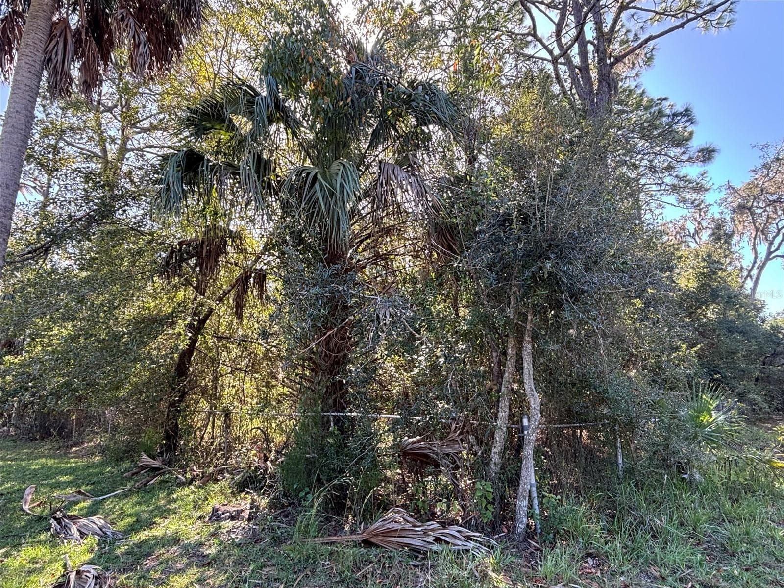 Land at 14331 SE 85TH TER, INGLIS, photo 5 of 14