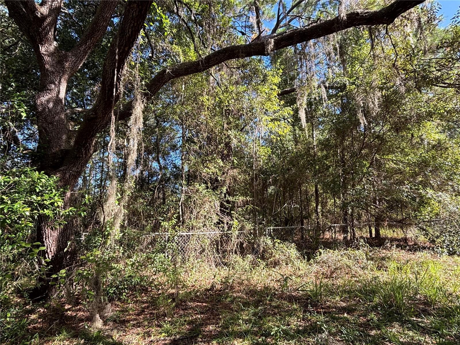 Land at 14331 SE 85TH TER, INGLIS, photo 6 of 14
