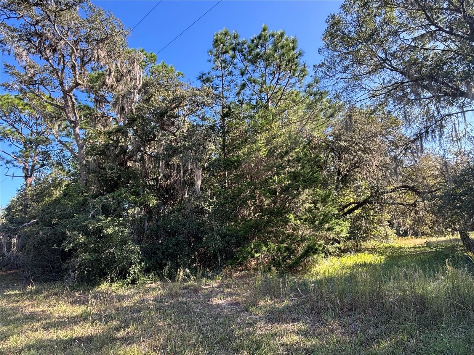 Land at 14331 SE 85TH TER, INGLIS, photo 7 of 14