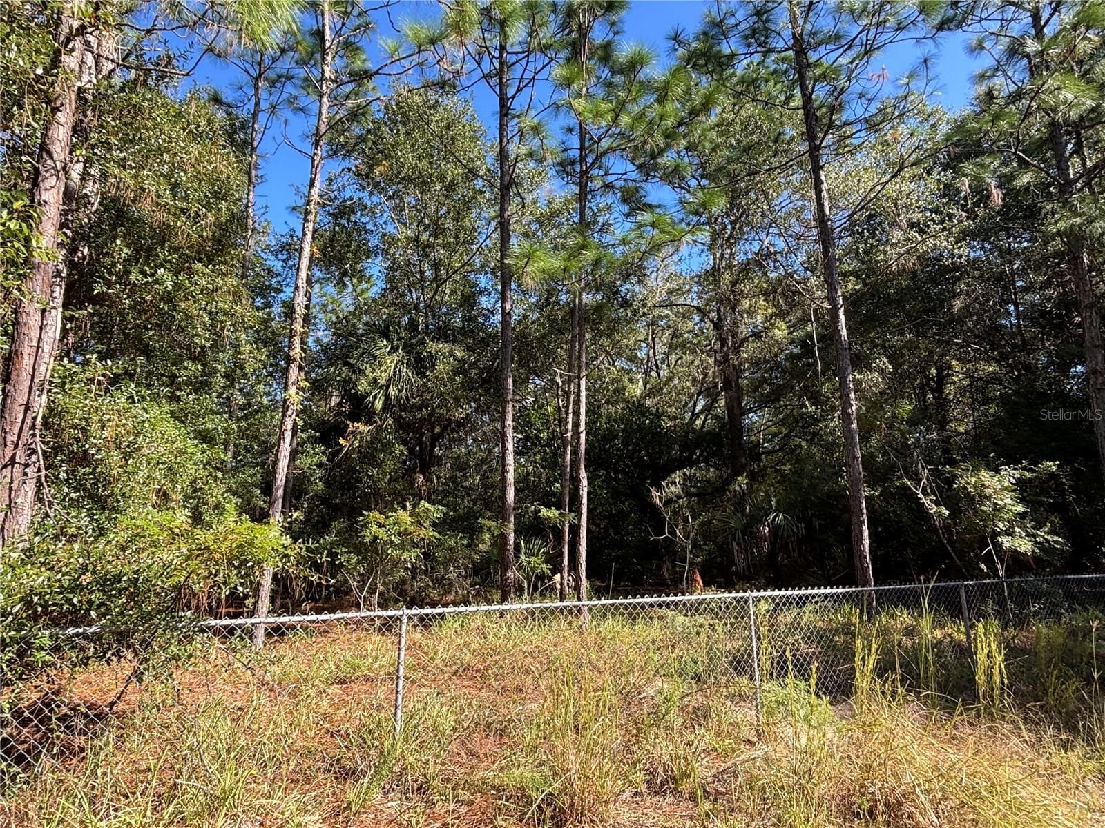 Land at 14331 SE 85TH TER, INGLIS, photo 8 of 14