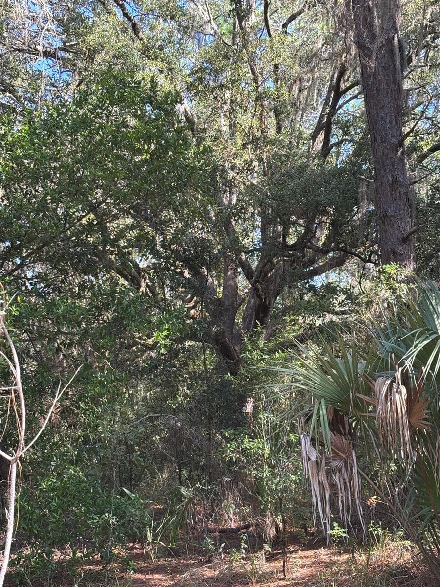 Land at 14331 SE 85TH TER, INGLIS, photo 12 of 14
