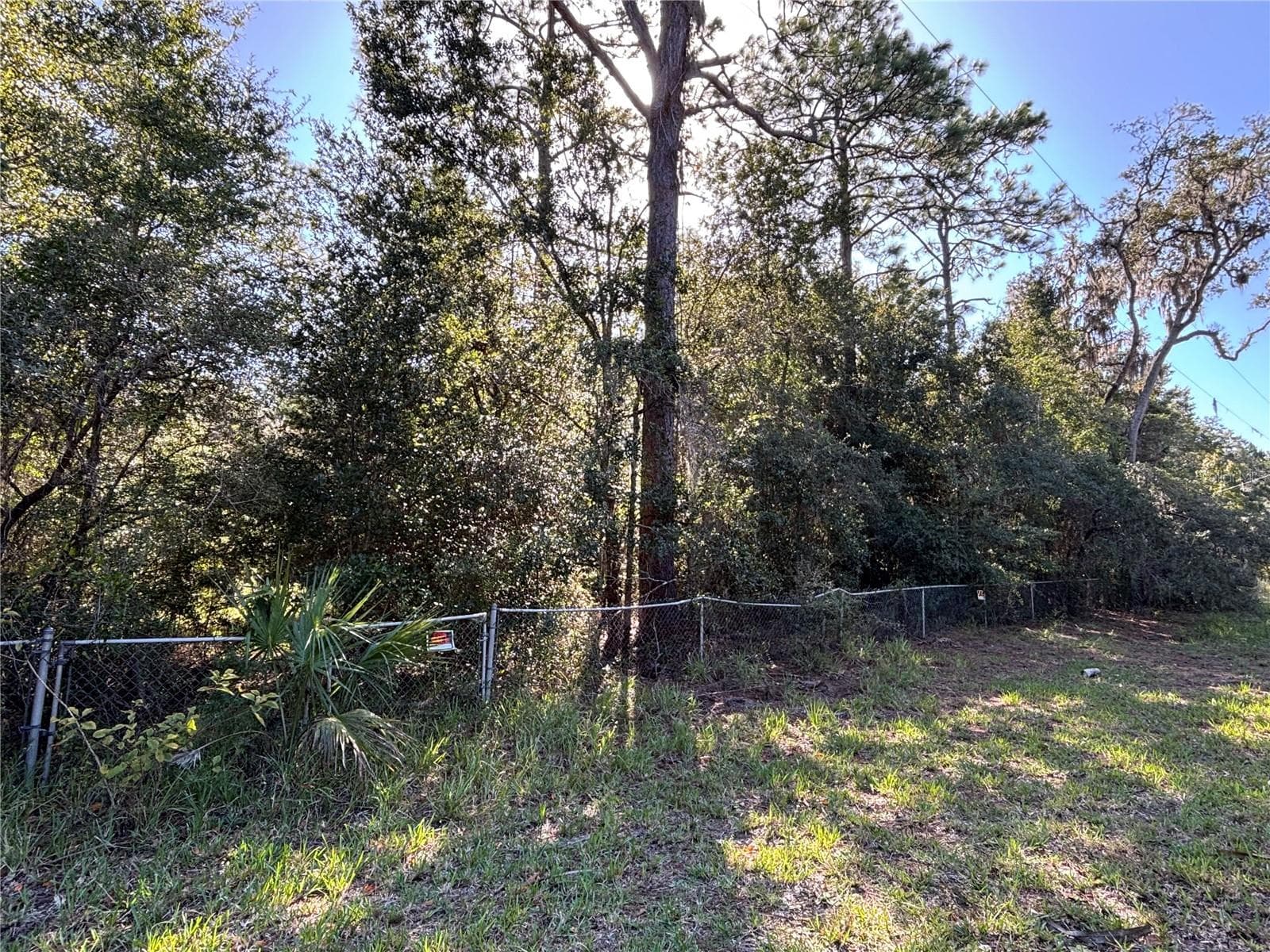 Land at 14331 SE 85TH TER, INGLIS, photo 14 of 14