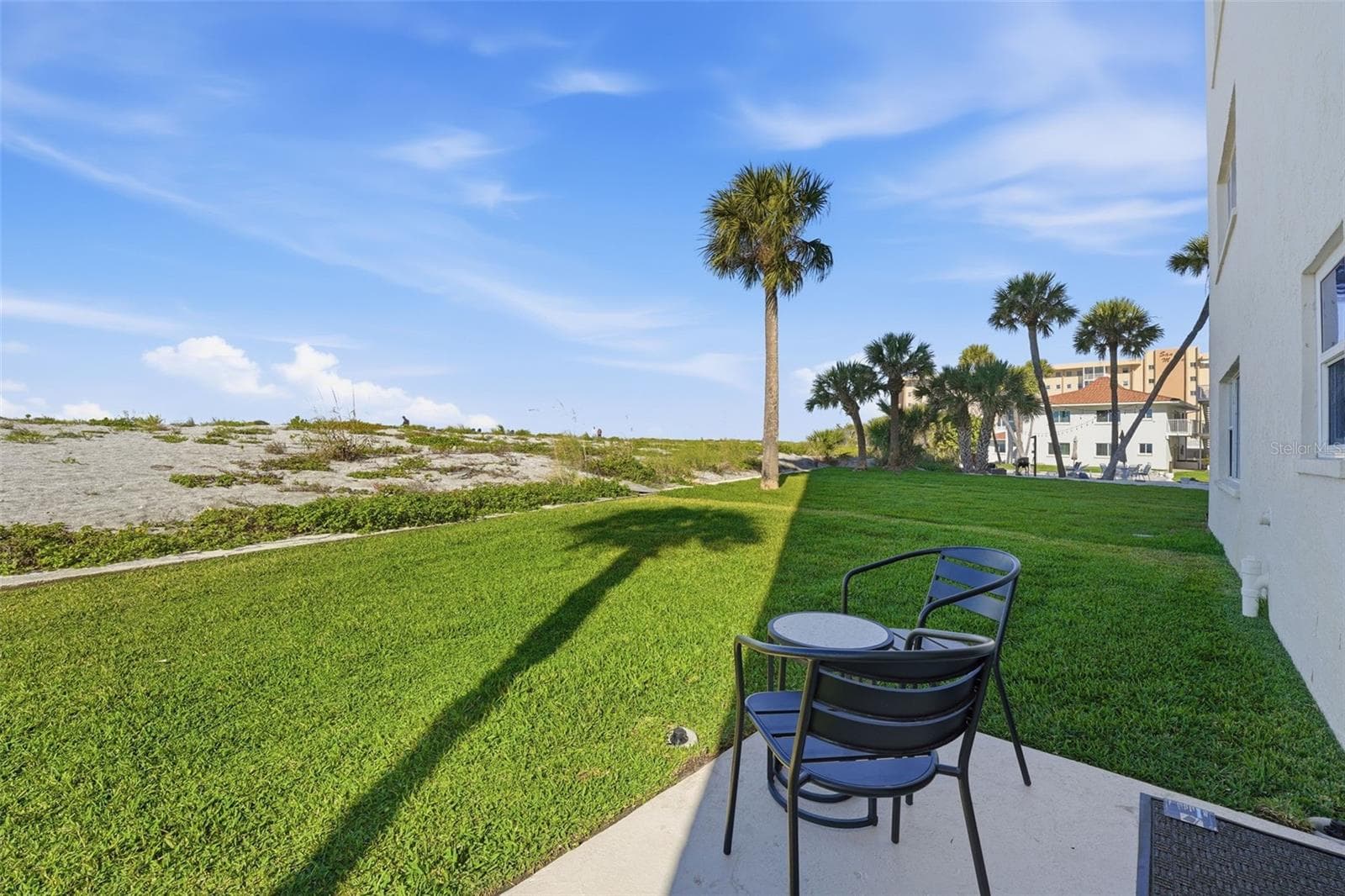 Very peaceful view that is constantly changing with new growth - 1150 TARPON CENTER DR #101, 1-A, VENICE