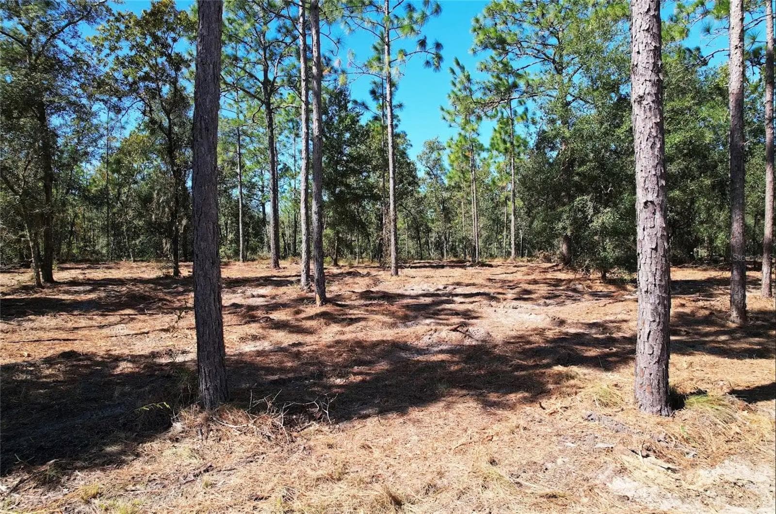 Land at NE 16TH PL, WILLISTON, photo 3 of 14