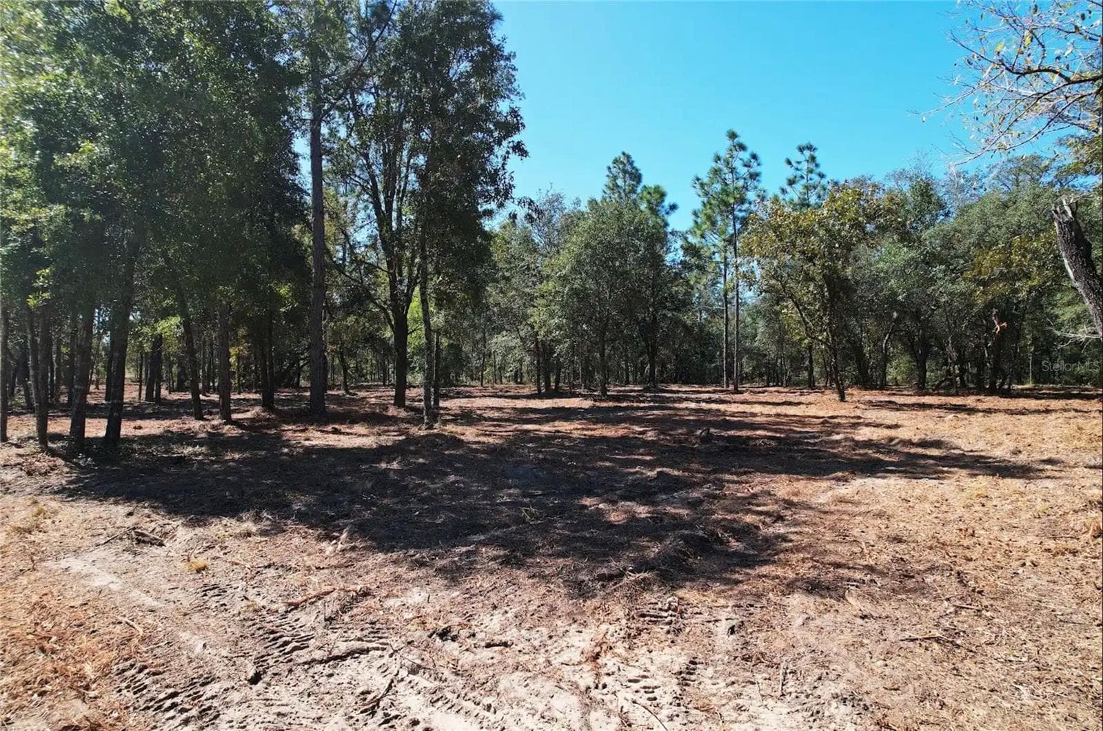 Land at NE 16TH PL, WILLISTON, photo 4 of 14