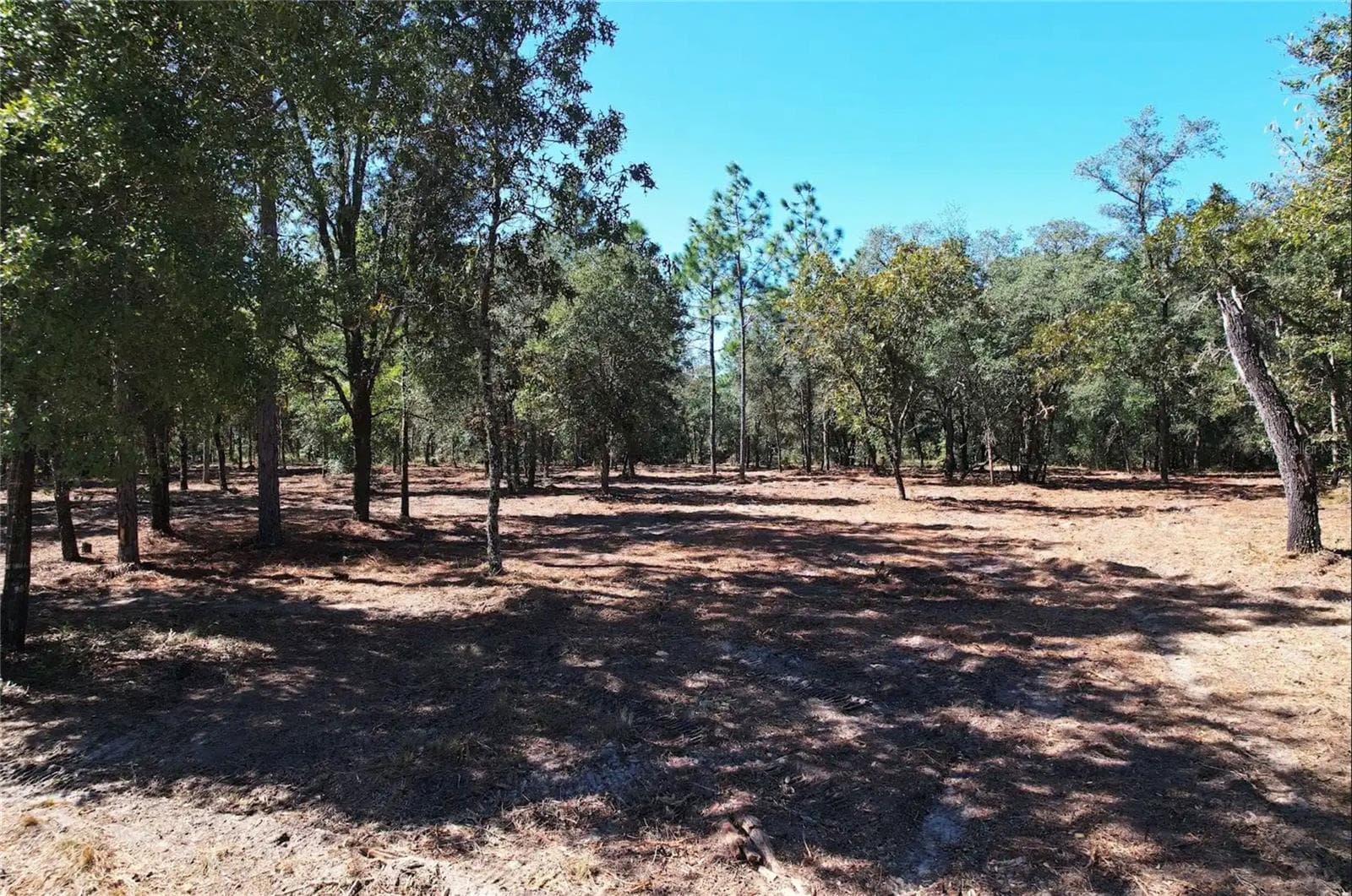 Land at NE 16TH PL, WILLISTON, photo 5 of 14