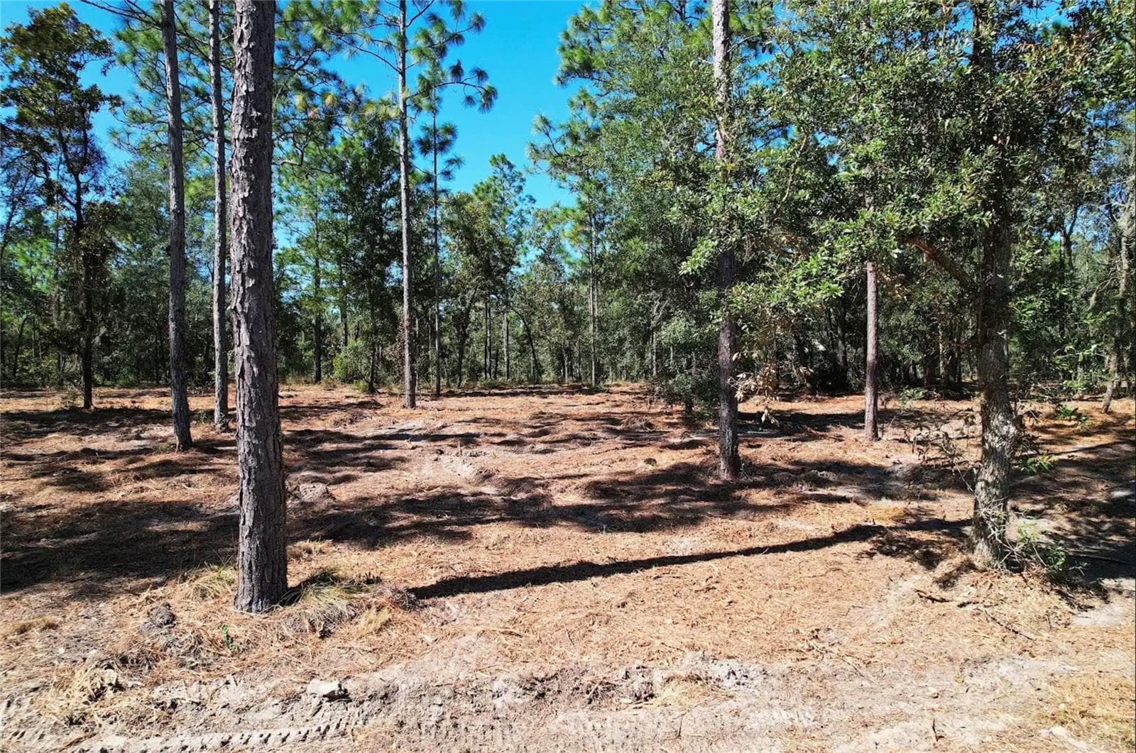 Land at NE 16TH PL, WILLISTON, photo 9 of 14