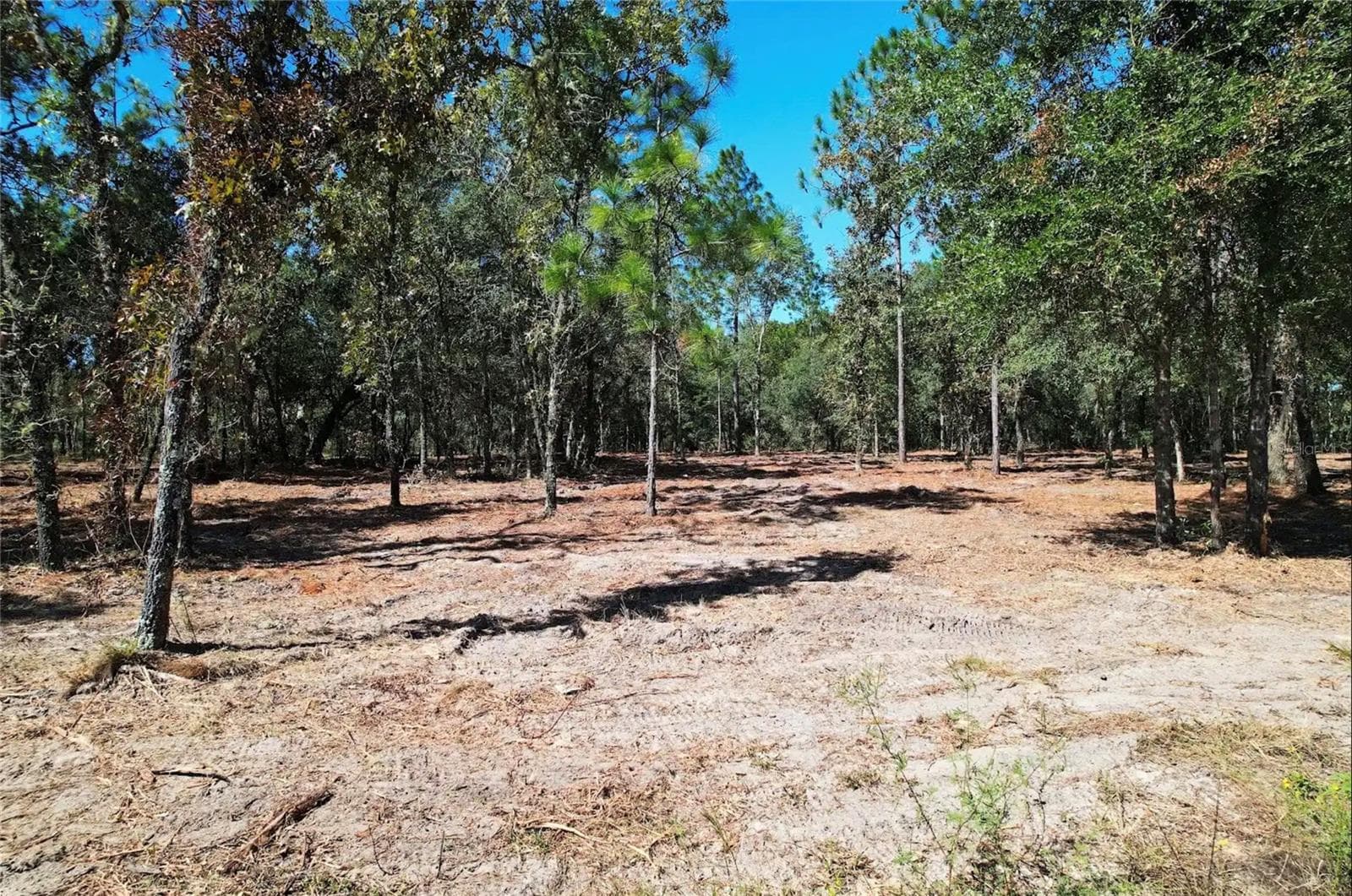 Land at NE 16TH PL, WILLISTON, photo 10 of 14